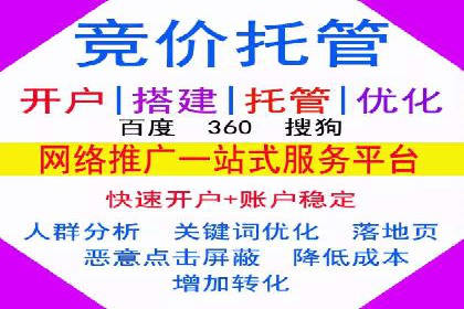 百度竞价与搜索引擎优化（SEO）的协同效应案例