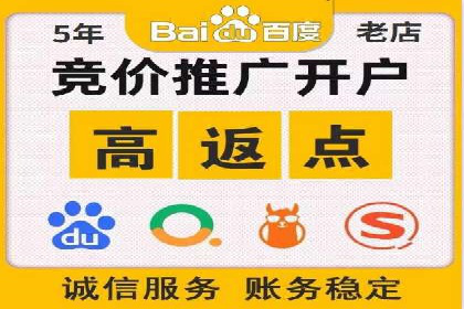 百度推广平台案例剖析：揭秘广告投放策略